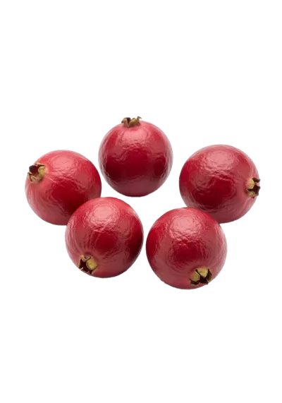 Imagen PNG para descargar